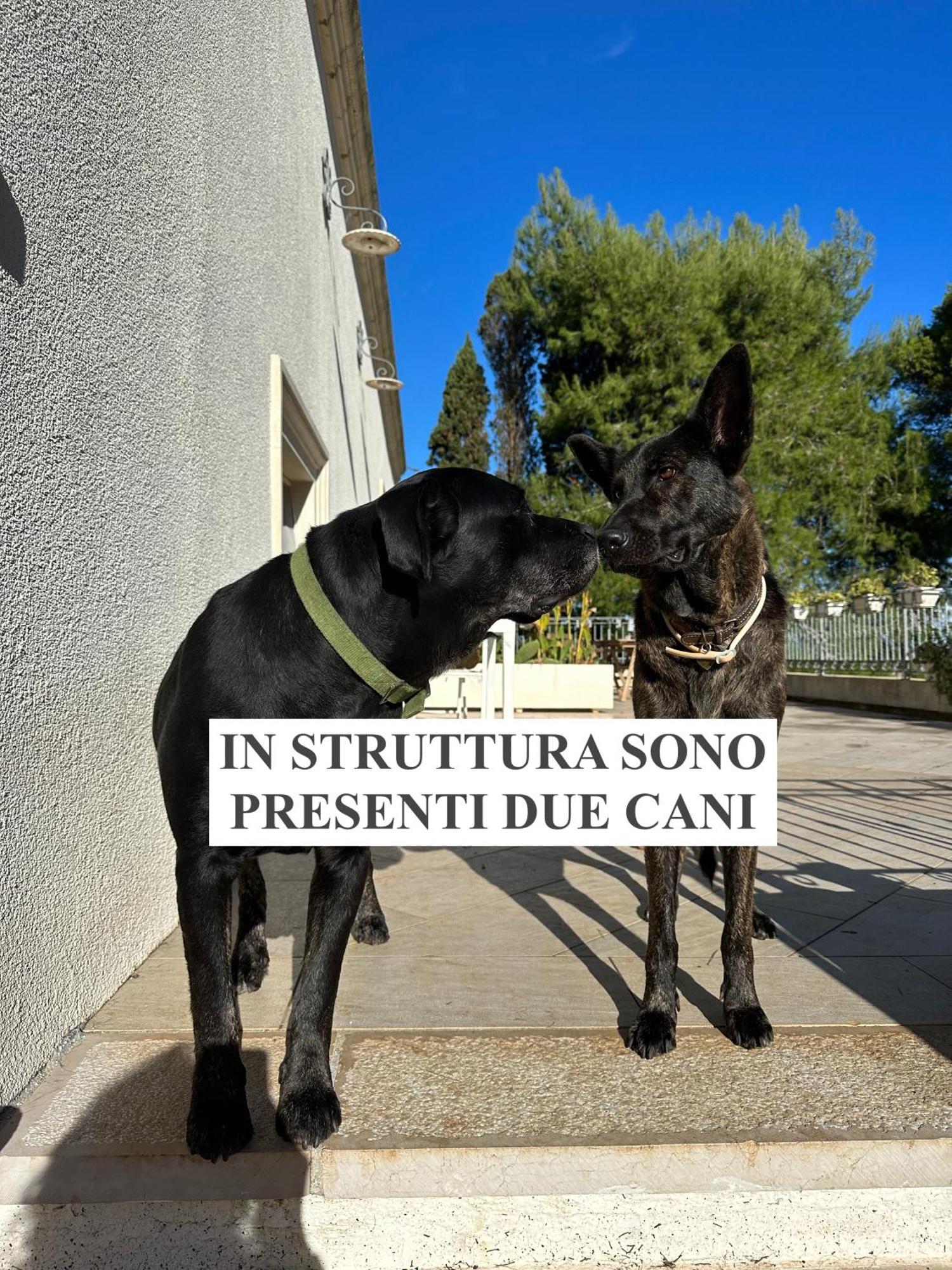 La Dimora Di Ulisse Apart otel Santa Cesarea Terme Dış mekan fotoğraf