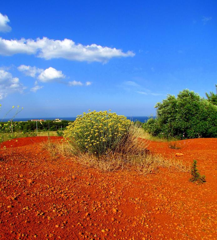 La Dimora Di Ulisse Apart otel Santa Cesarea Terme Dış mekan fotoğraf